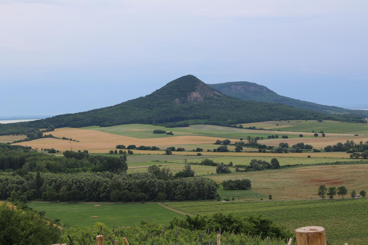 Villa Tolnay Vendeghaz Gyulakeszi 외부 사진