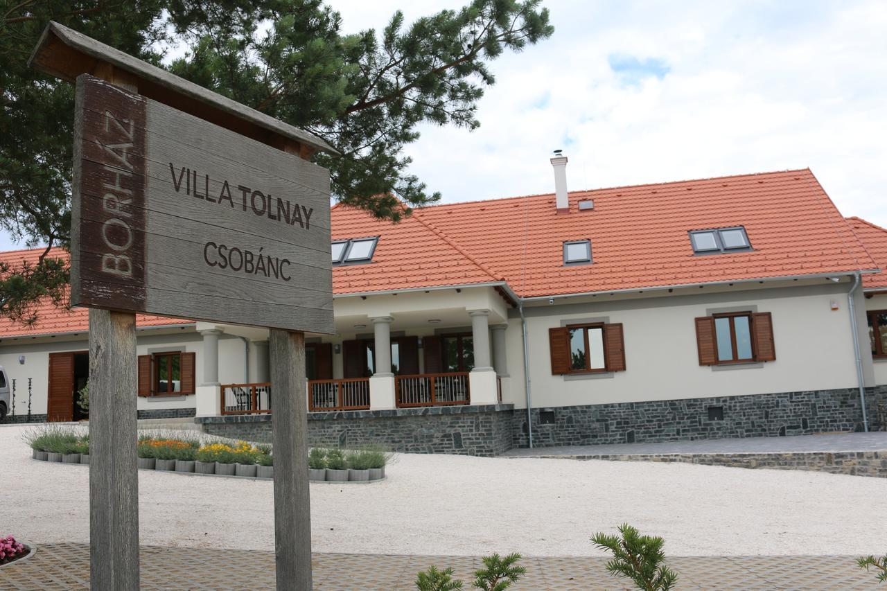 Villa Tolnay Vendeghaz Gyulakeszi 외부 사진
