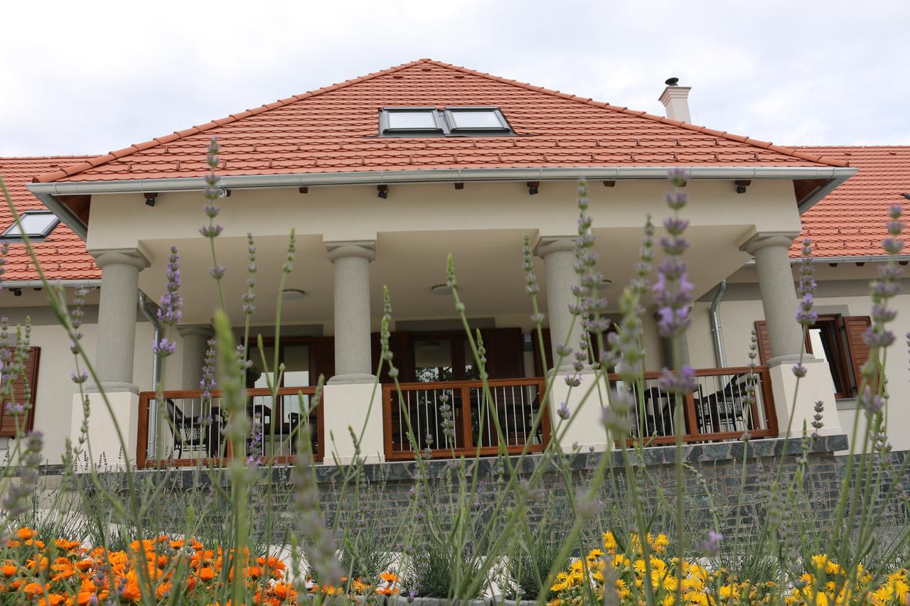 Villa Tolnay Vendeghaz Gyulakeszi 외부 사진